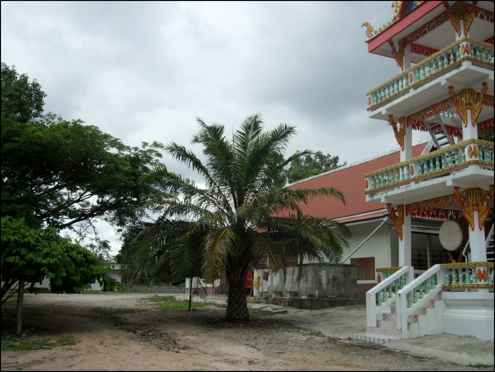 photo12 (6)